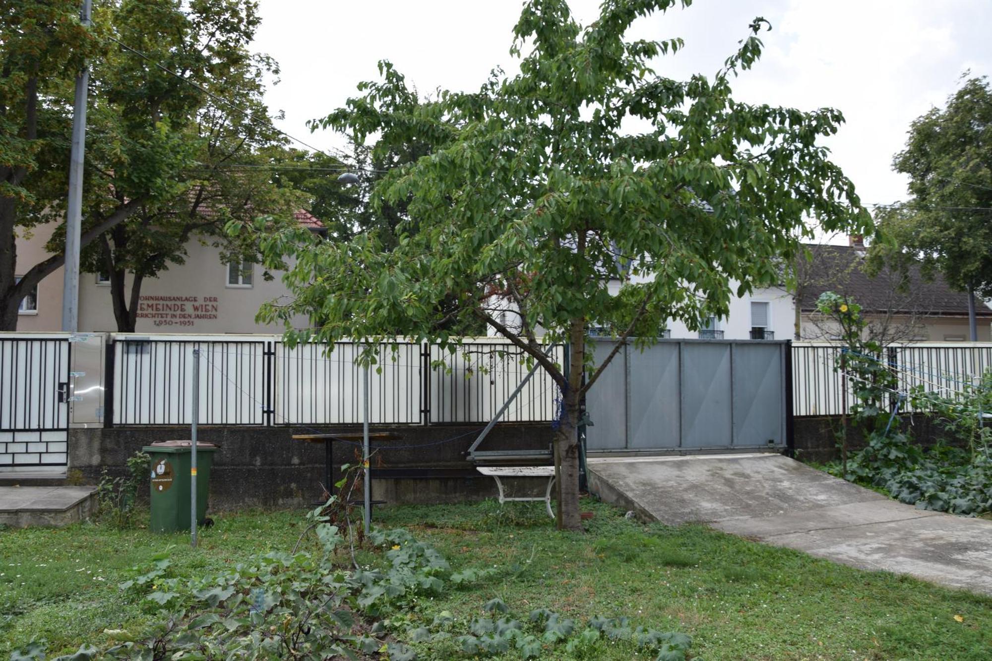 Central-vintage With Free Parking And 5min Walk To Metro Wien